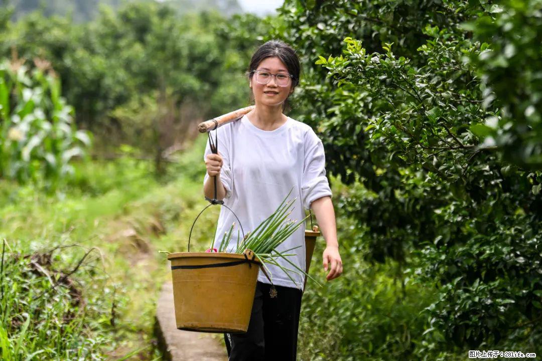 全网追的“扁担女孩”,找了一份暑假工,时薪12元 - 石家庄生活资讯 - 石家庄28生活网 sjz.28life.com