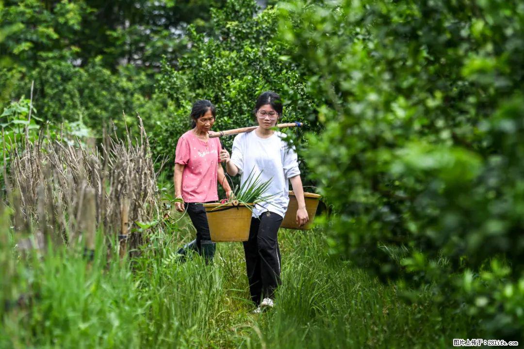 全网追的“扁担女孩”,找了一份暑假工,时薪12元 - 石家庄生活资讯 - 石家庄28生活网 sjz.28life.com