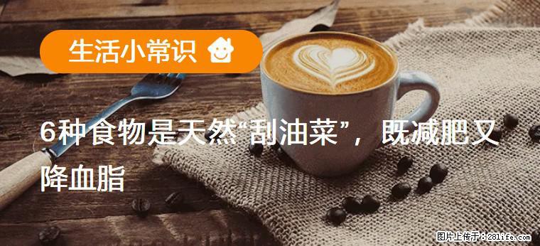 【生活小常识】6种食物是天然“刮油菜”,既减肥又降血脂 - 石家庄生活资讯 - 石家庄28生活网 sjz.28life.com