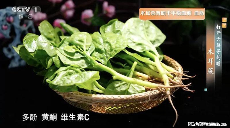 比牛奶补钙还厉害！凉血解毒、稳血糖...这菜冬天必吃，很多人却当草 - 石家庄生活资讯 - 石家庄28生活网 sjz.28life.com