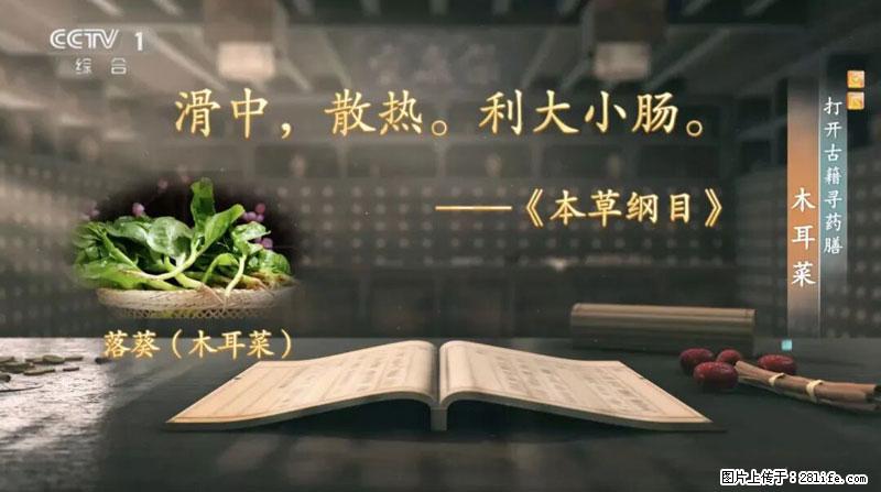 比牛奶补钙还厉害！凉血解毒、稳血糖...这菜冬天必吃，很多人却当草 - 石家庄生活资讯 - 石家庄28生活网 sjz.28life.com