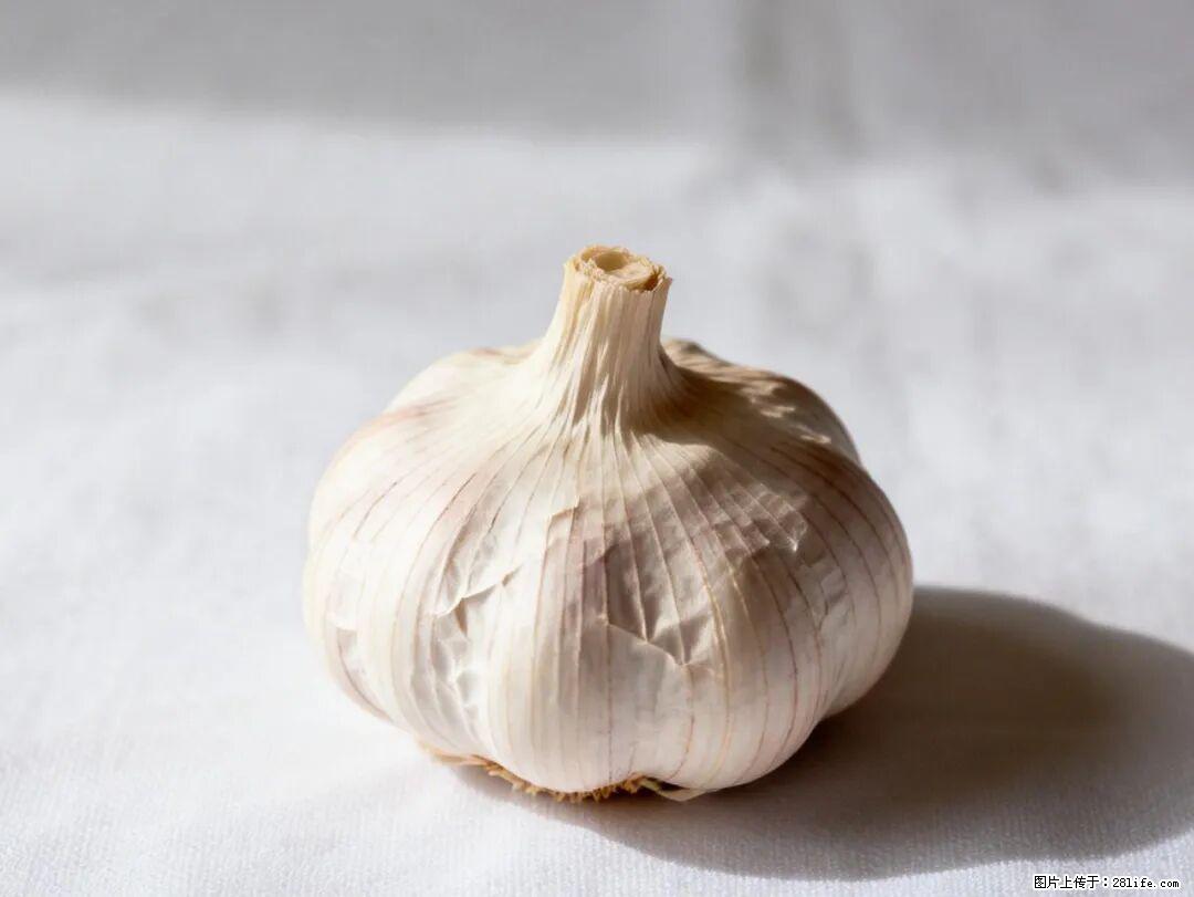 关于大蒜，除了“天然抗生素”，这4个谣言更该警惕! - 石家庄生活资讯 - 石家庄28生活网 sjz.28life.com