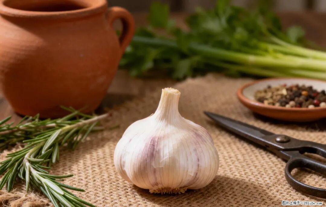 关于大蒜，除了“天然抗生素”，这4个谣言更该警惕! - 石家庄生活资讯 - 石家庄28生活网 sjz.28life.com