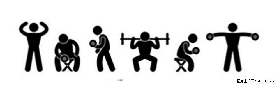 坚持这种运动6个月，心脏有了显著变化！不是跑步，也不是走路 - 石家庄生活资讯 - 石家庄28生活网 sjz.28life.com