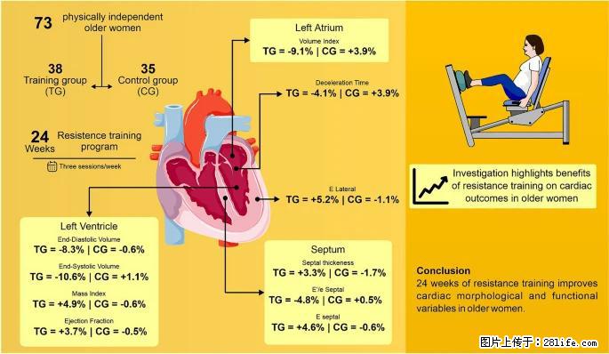 坚持这种运动6个月，心脏有了显著变化！不是跑步，也不是走路 - 石家庄生活资讯 - 石家庄28生活网 sjz.28life.com