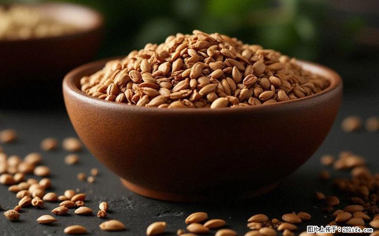 这三苦是三高“克星”，心血管干净不易堵！每天吃一点，指标慢慢降下来~ - 石家庄生活资讯 - 石家庄28生活网 sjz.28life.com