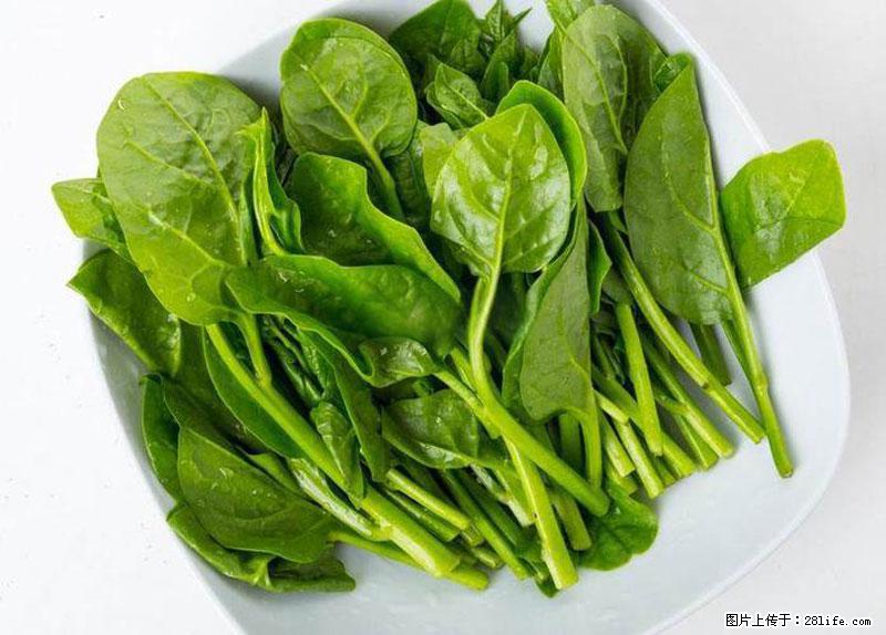 这些蔬菜是“天然钙片”，这6种被医生重点推荐 - 石家庄生活资讯 - 石家庄28生活网 sjz.28life.com