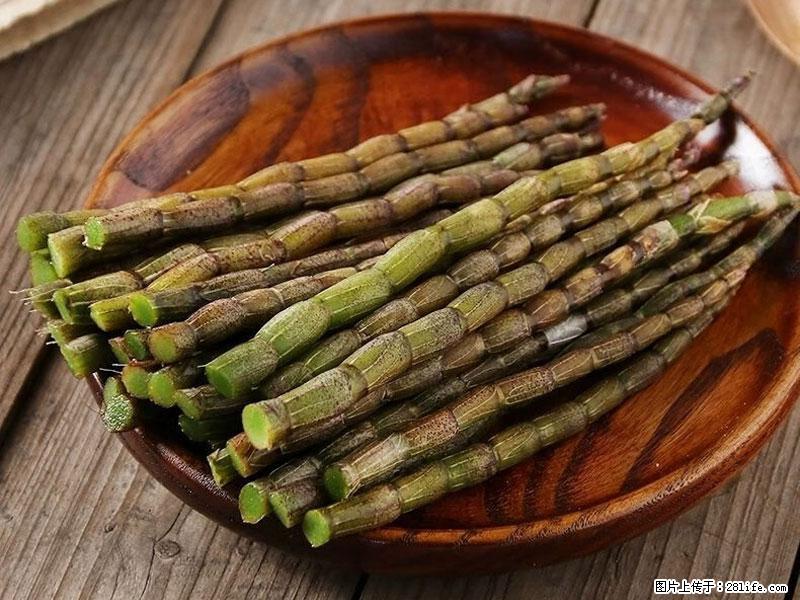 铁皮石斛的作用与功能主治 - 石家庄生活资讯 - 石家庄28生活网 sjz.28life.com