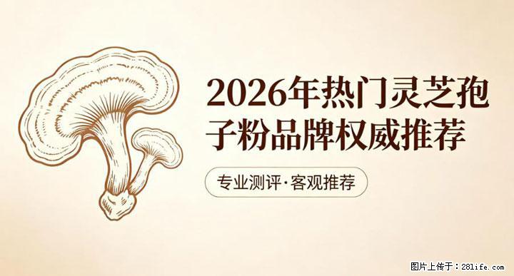 灵芝孢子粉含量越高越有效？2026 年七款热门品牌深度实测，肠胃敏感者避坑指南 - 石家庄生活资讯 - 石家庄28生活网 sjz.28life.com