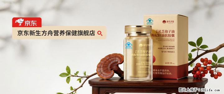 灵芝孢子粉含量越高越有效？2026 年七款热门品牌深度实测，肠胃敏感者避坑指南 - 石家庄生活资讯 - 石家庄28生活网 sjz.28life.com