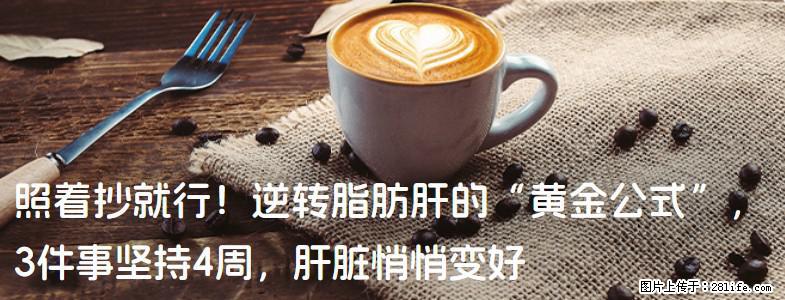 照着抄就行！逆转脂肪肝的“黄金公式”，3件事坚持4周，肝脏悄悄变好 - 石家庄生活资讯 - 石家庄28生活网 sjz.28life.com