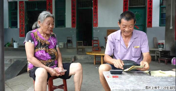 【乡村振兴】广西桂林市灌阳县文市蜂糖李、黄金奈李迎丰产上市季 甜蜜产业助振兴 - 石家庄生活资讯 - 石家庄28生活网 sjz.28life.com