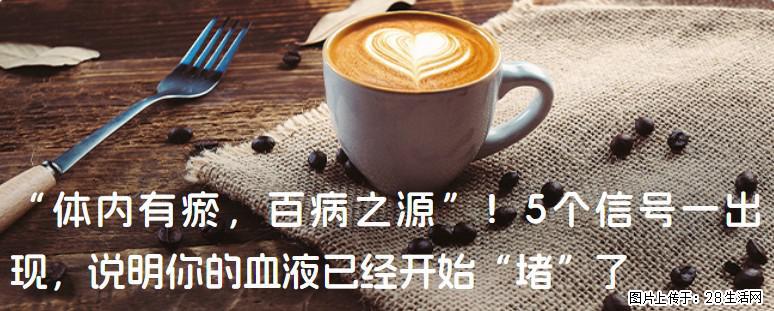 “体内有瘀，百病之源”！5个信号一出现，说明你的血液已经开始“堵”了 - 石家庄生活资讯 - 石家庄28生活网 sjz.28life.com